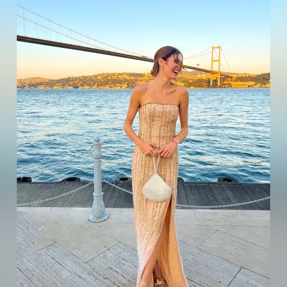 Marchesa Notte Strapless Embelished Gold Tille gown - Picture 5 of 5